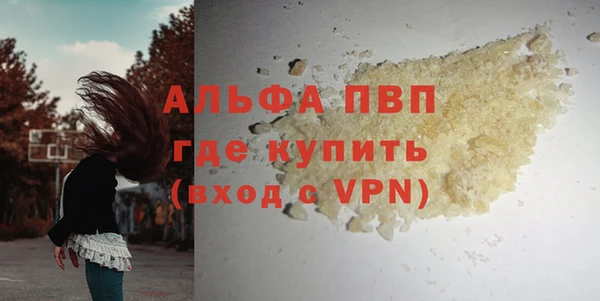 прущие грибы Волосово