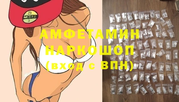дмт Протвино