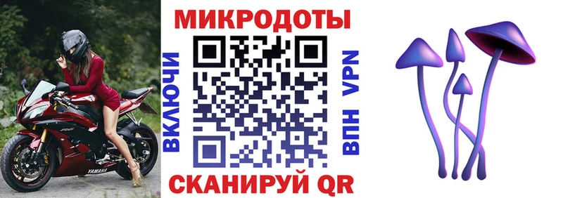 дарк нет как зайти  Ейск  Псилоцибиновые грибы мицелий  где продают наркотики 